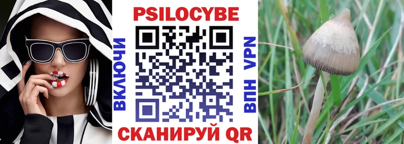 где продают   Соль-Илецк  Галлюциногенные грибы мухоморы 